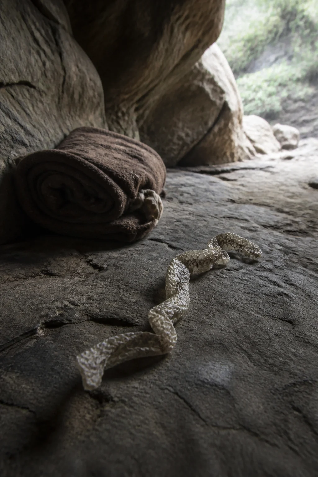 Snakeskin, illustration from Adventures of Huckleberry Finn by Mark Twain