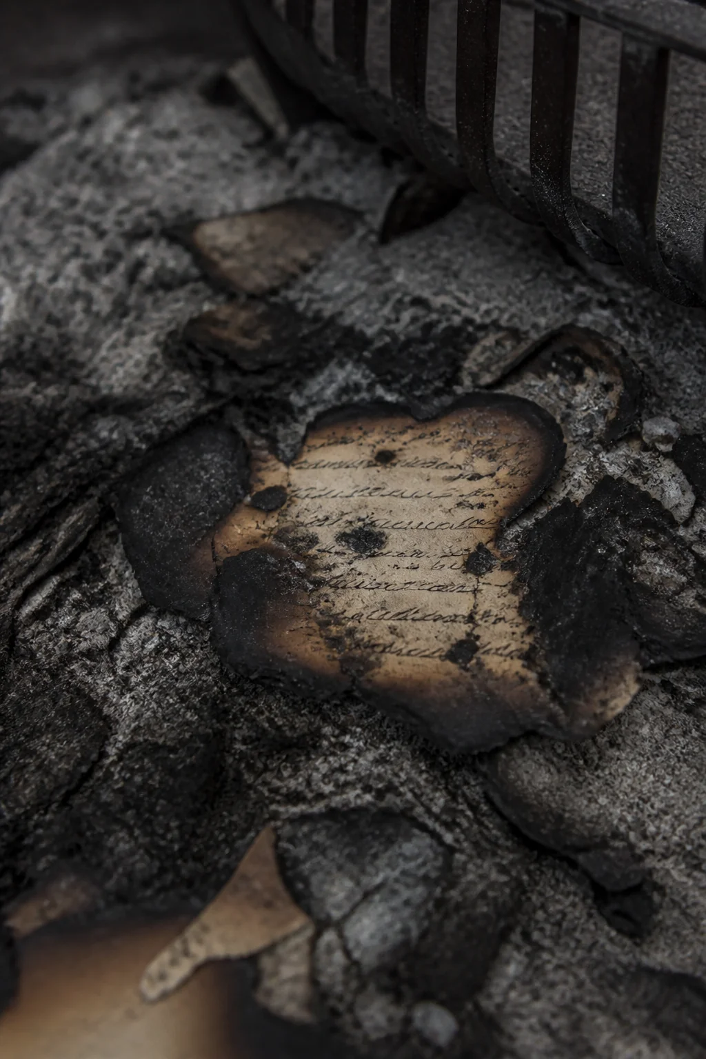 Amy’s burned book, illustration from Little Women by Louisa May Alcott