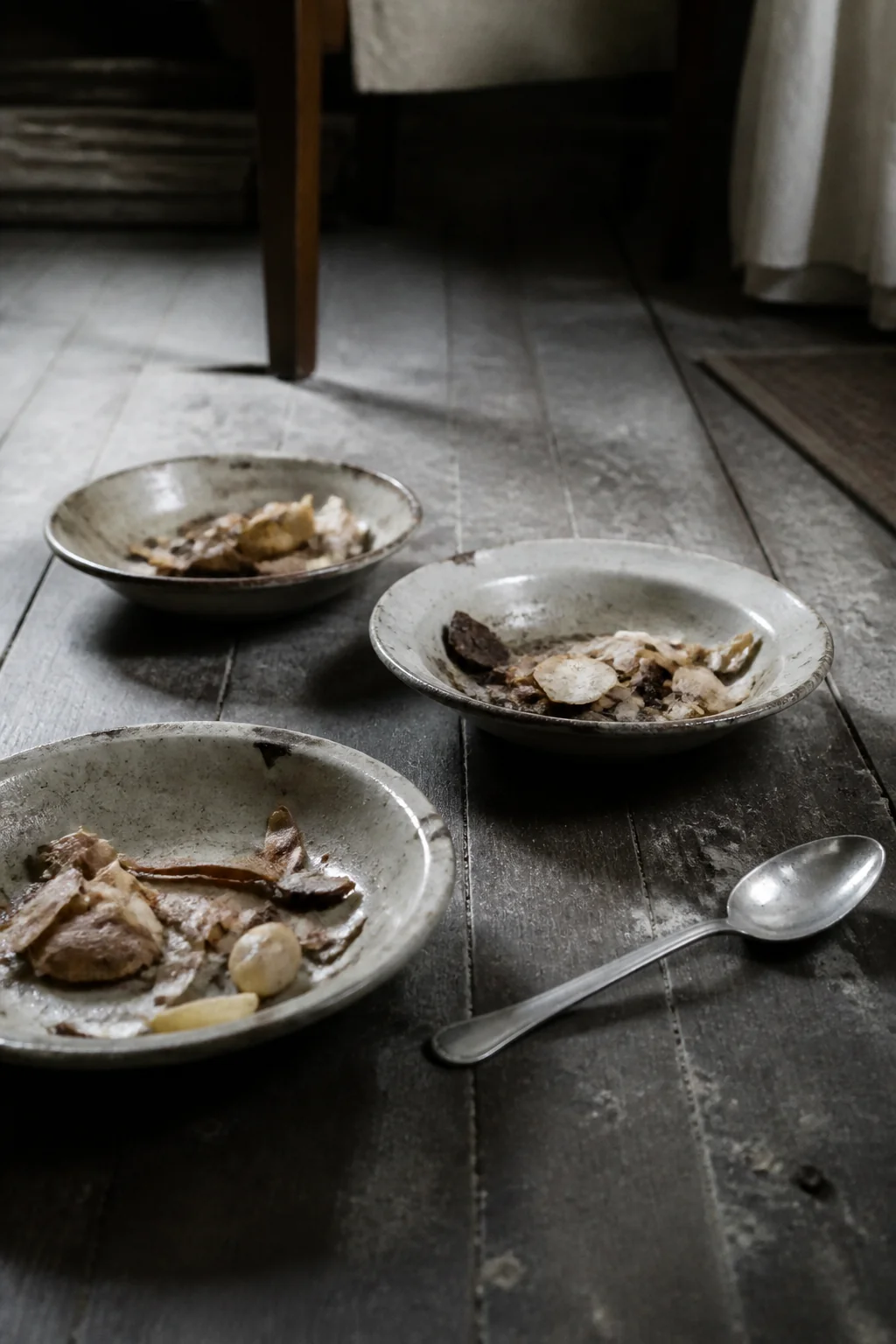 Food dishes and scraps, illustration from Metamorphosis by Franz Kafka