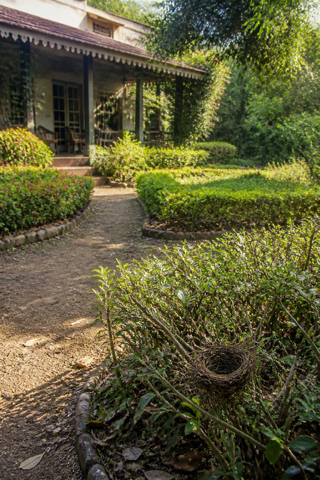 Bungalow Garden, illustration from The Jungle Book by Rudyard Kipling